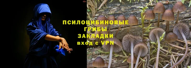 Галлюциногенные грибы Magic Shrooms  Заинск 